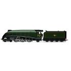 Hornby OO - BR Class A4 ‘Seagull’ 60033 - Steam Generator- R30552SS